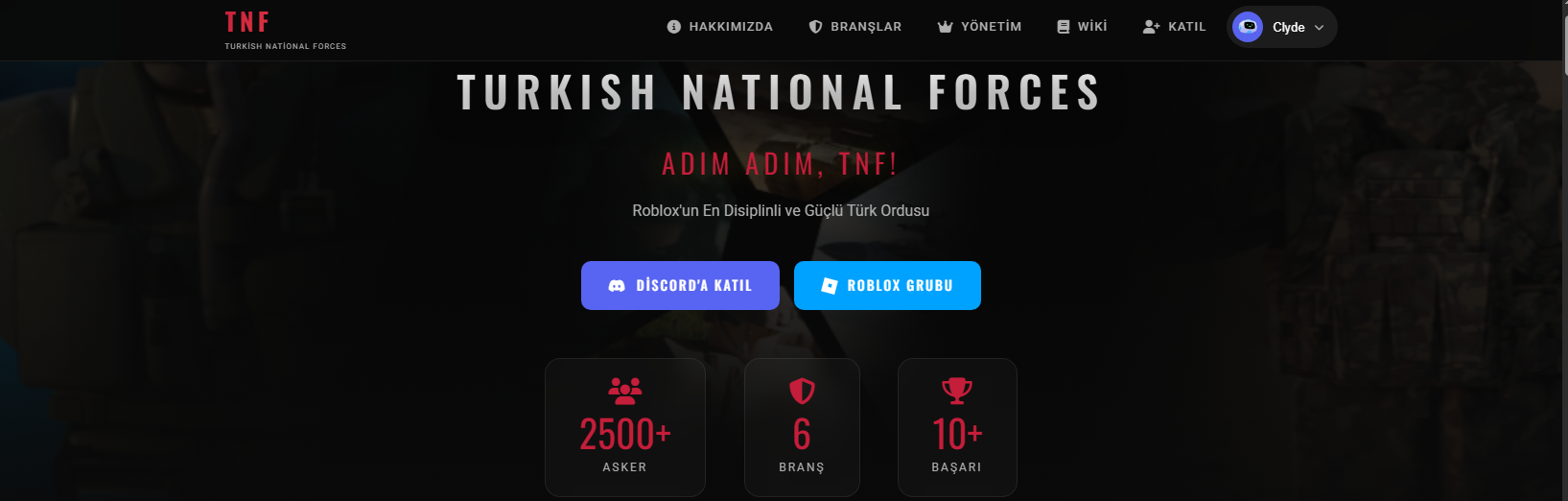 Turkish National Forces